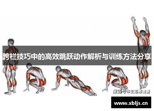 跨栏技巧中的高效跳跃动作解析与训练方法分享