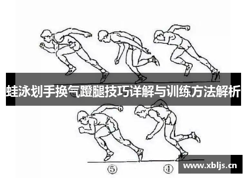 蛙泳划手换气蹬腿技巧详解与训练方法解析